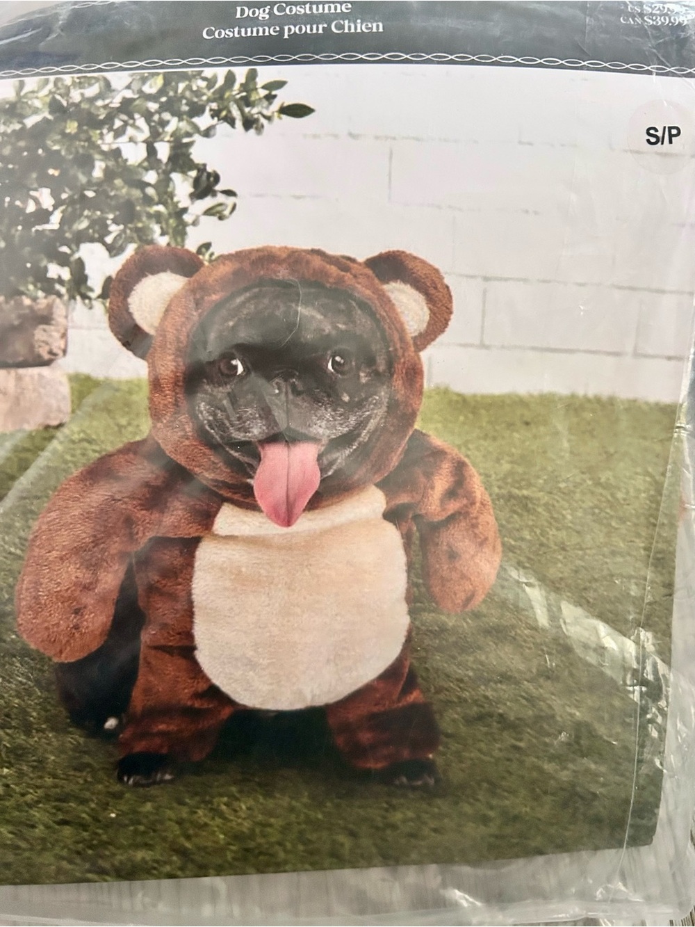 Ashland Brown and Cream Plush Bear Pet Costume